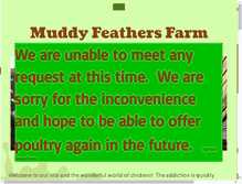 Tablet Screenshot of muddyfeathersfarm.com